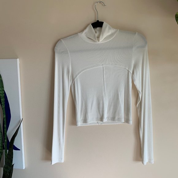 Aritzia Tops - Wilfred Lucie Turtleneck